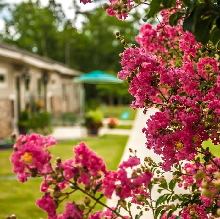 Fellowship Home at Meriwether photo 4