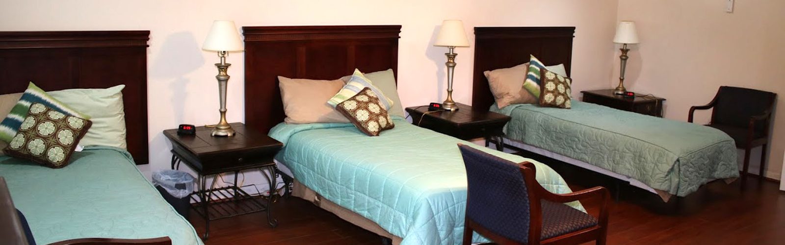 Hibiscus Manor photo 3