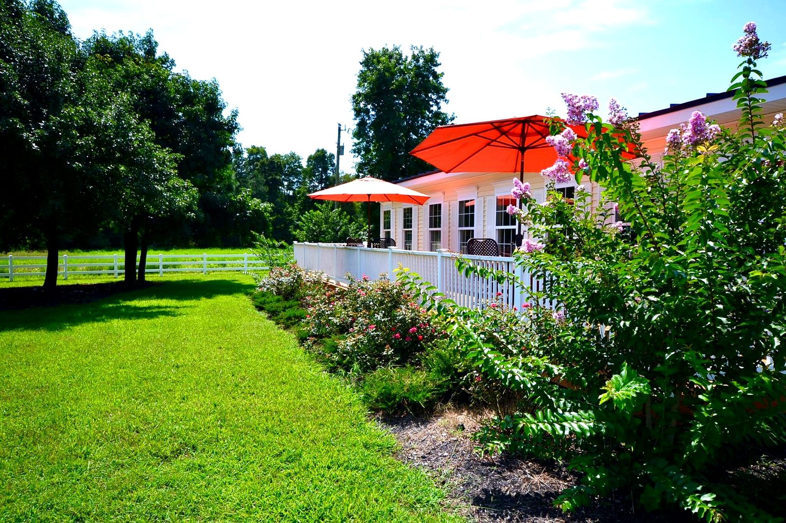 Chesapeake Cottage Assisted Living photo 2