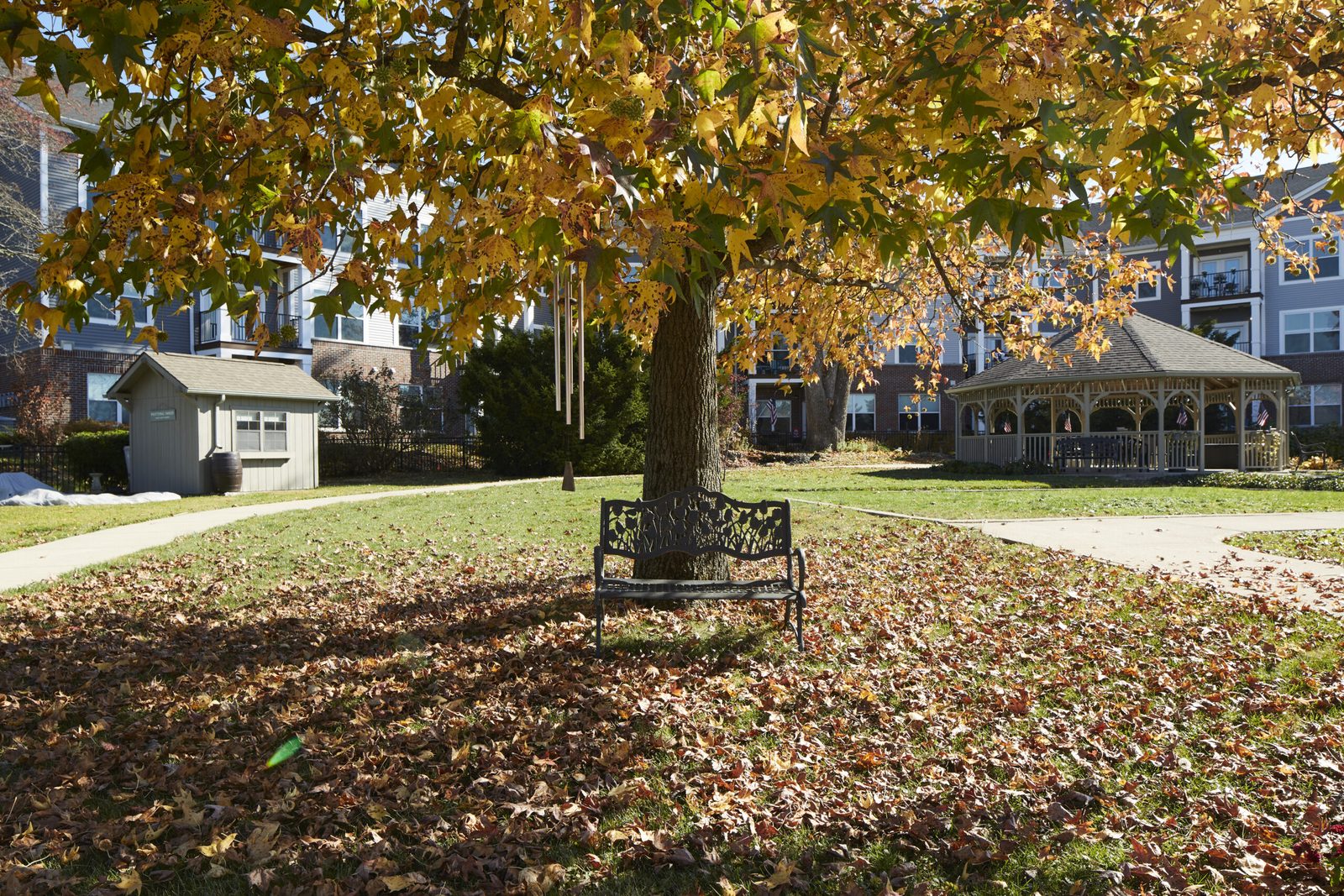 Legacy Village photo 2