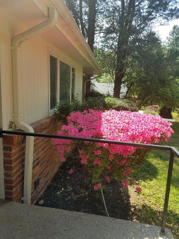 Parry Home Assisted Living, LLC photo 4