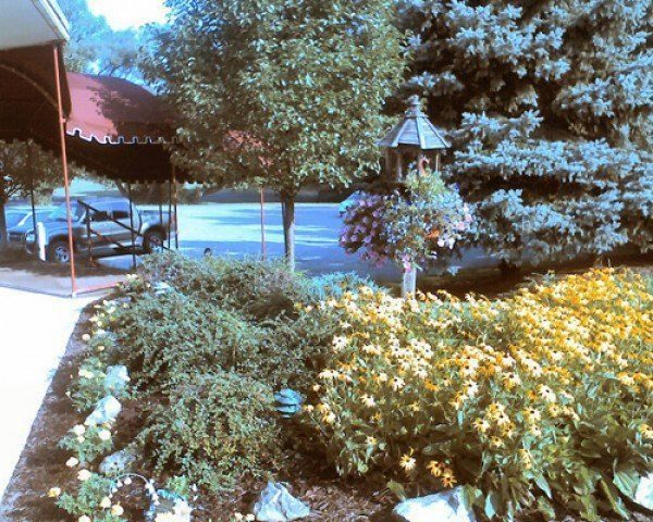 Park Creek Retirement photo 4