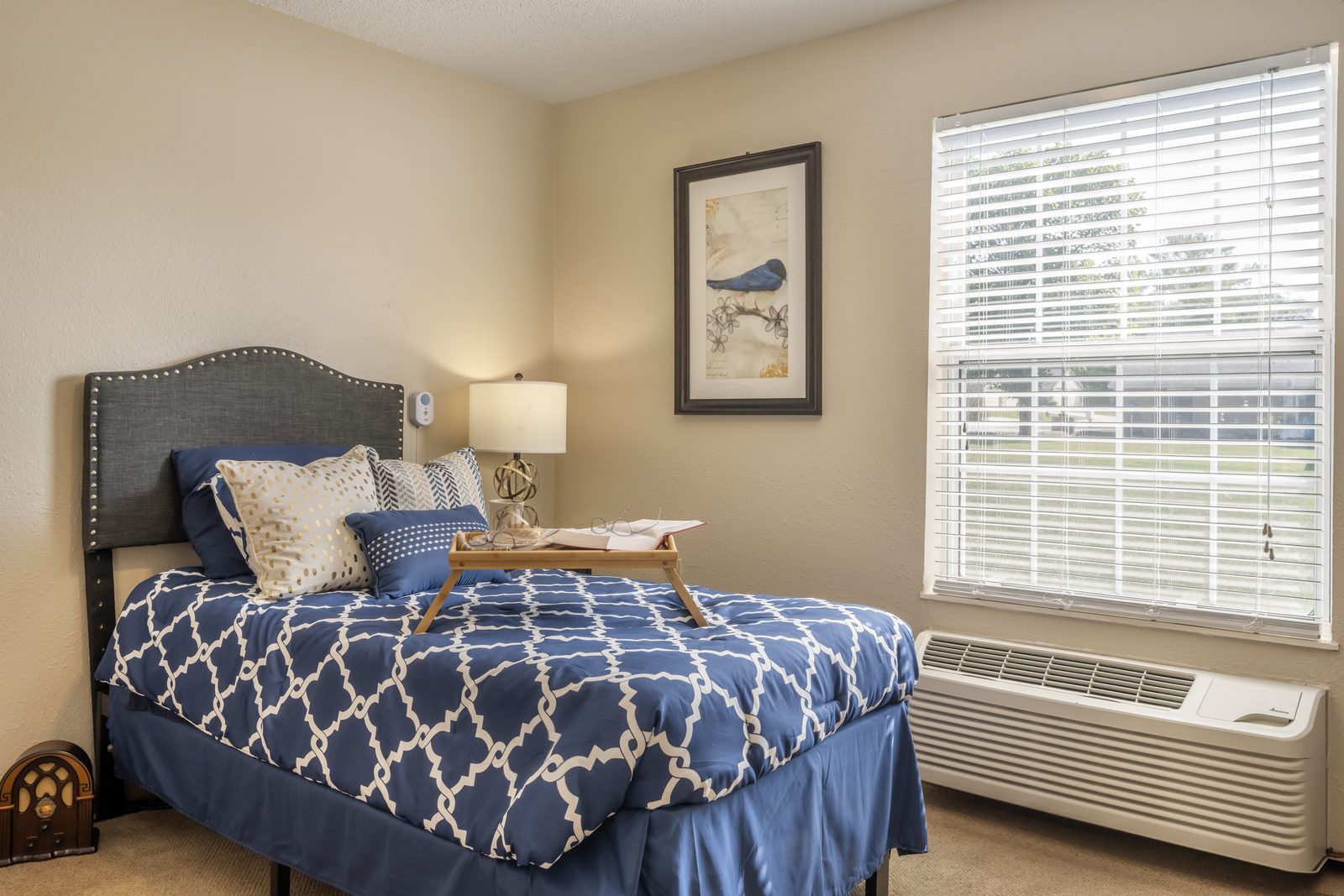 Brookdale Greenville photo 5