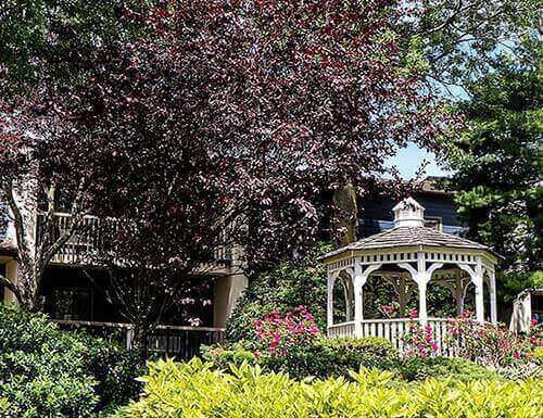 Chelsea at Greenburgh