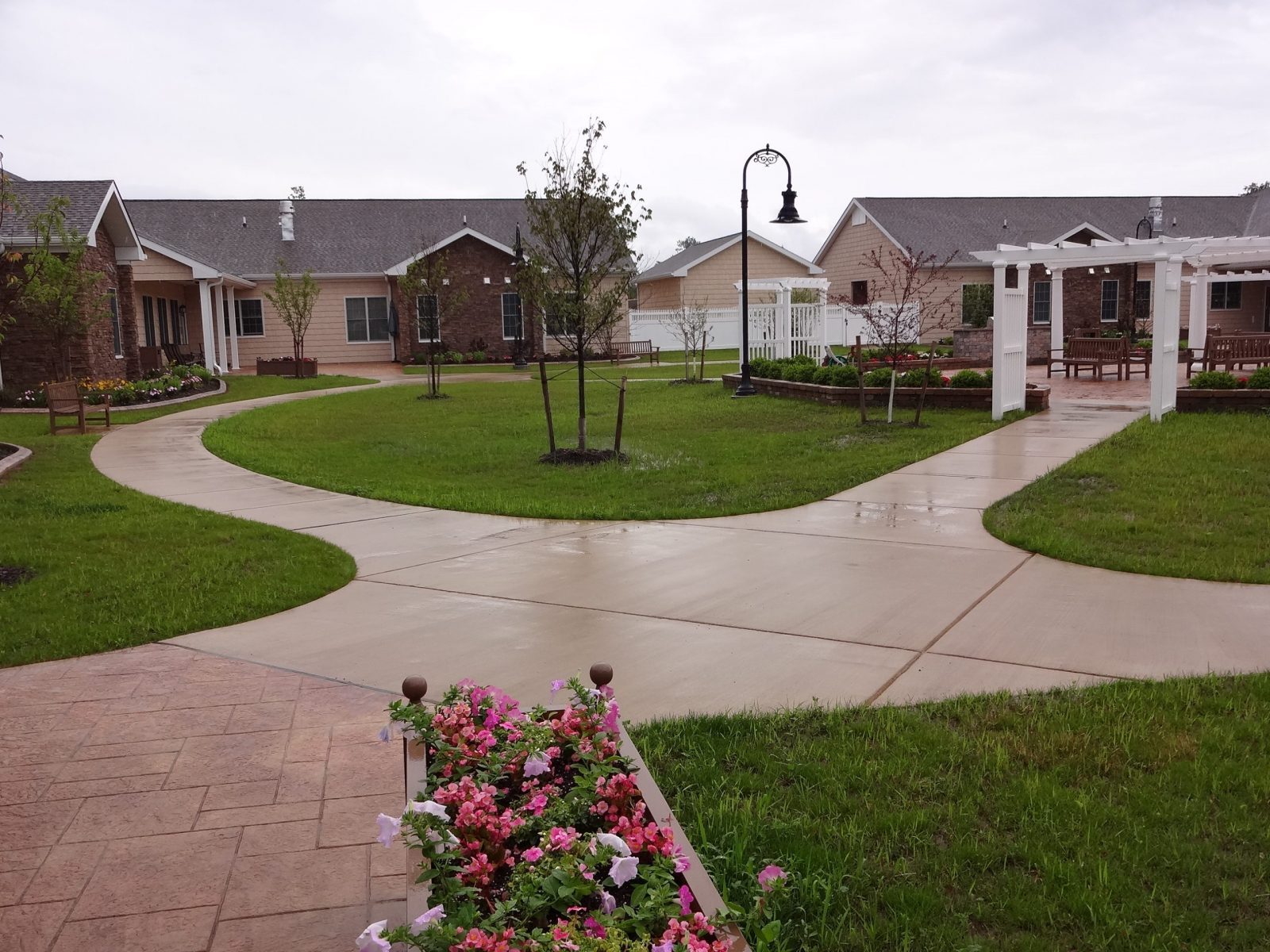 Greenfield Terrace photo 2