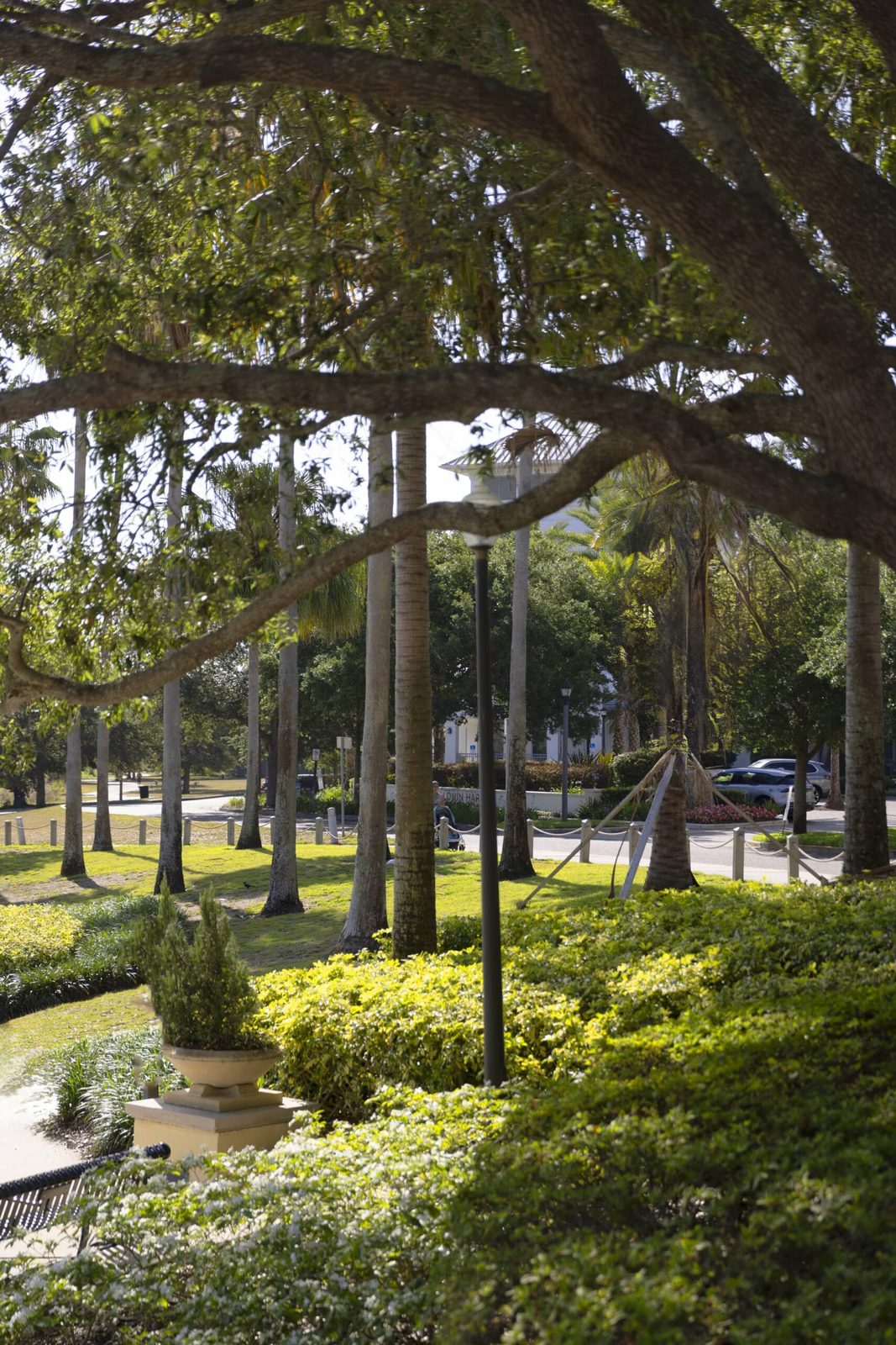 Westminster Baldwin Park photo 5