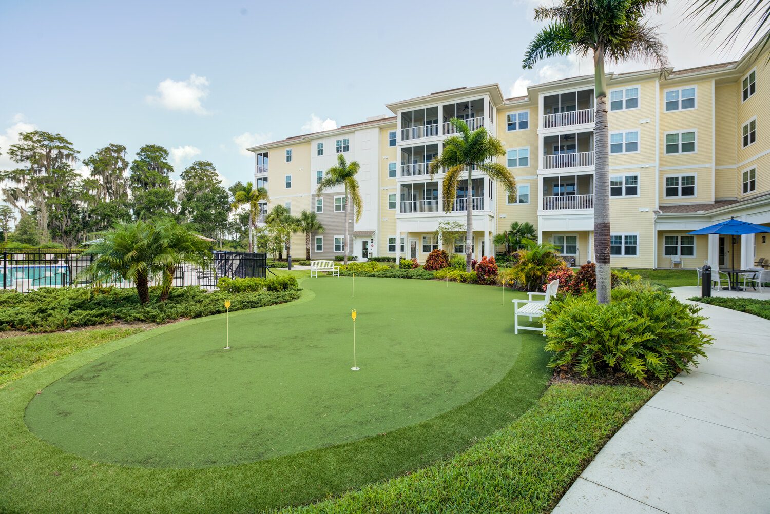 Arbor Terrace Citrus Park photo 1