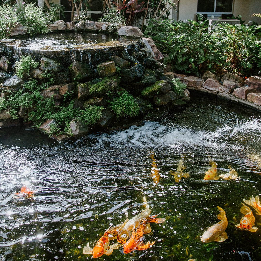Banyan Residence Assisted Living LLC photo 5