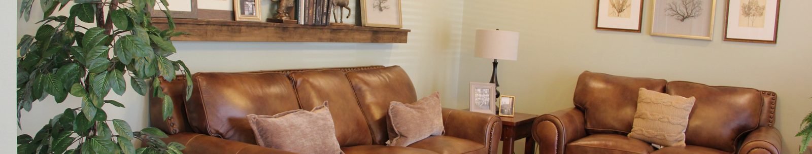 Bridgeport Senior Living-Port Isle LLC photo 4