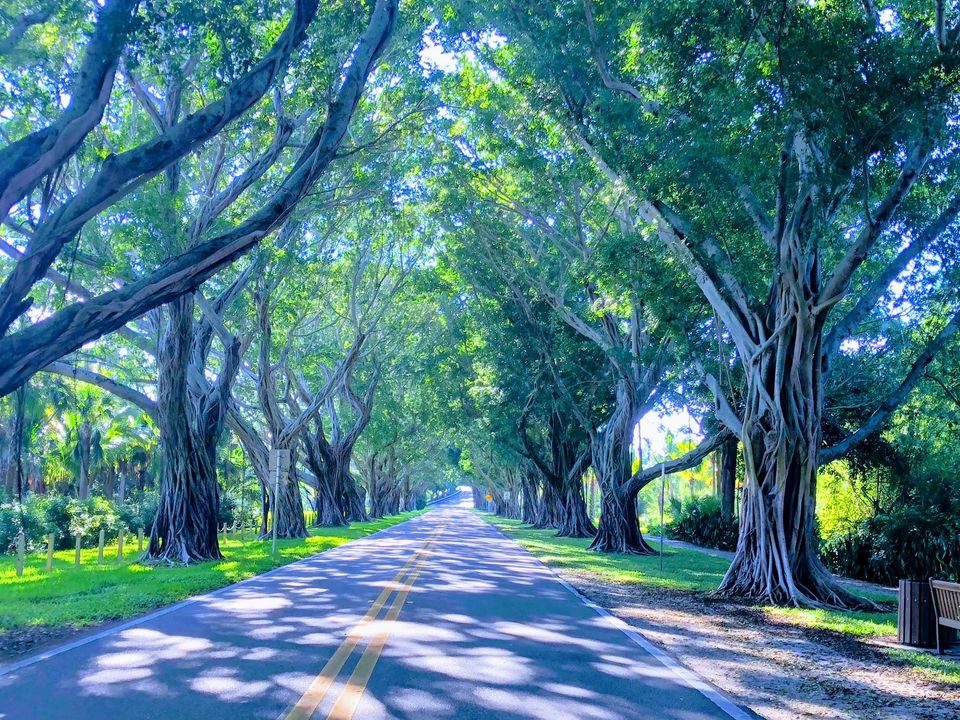 Discovery Commons Hobe Sound