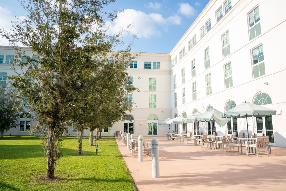 The Residences at Miami photo 5