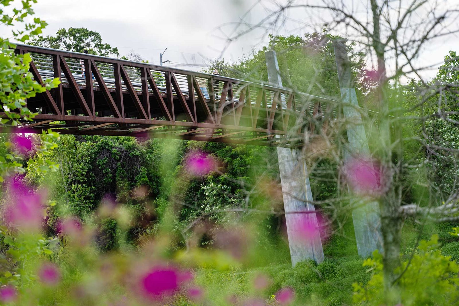 The Village of River Oaks photo 5