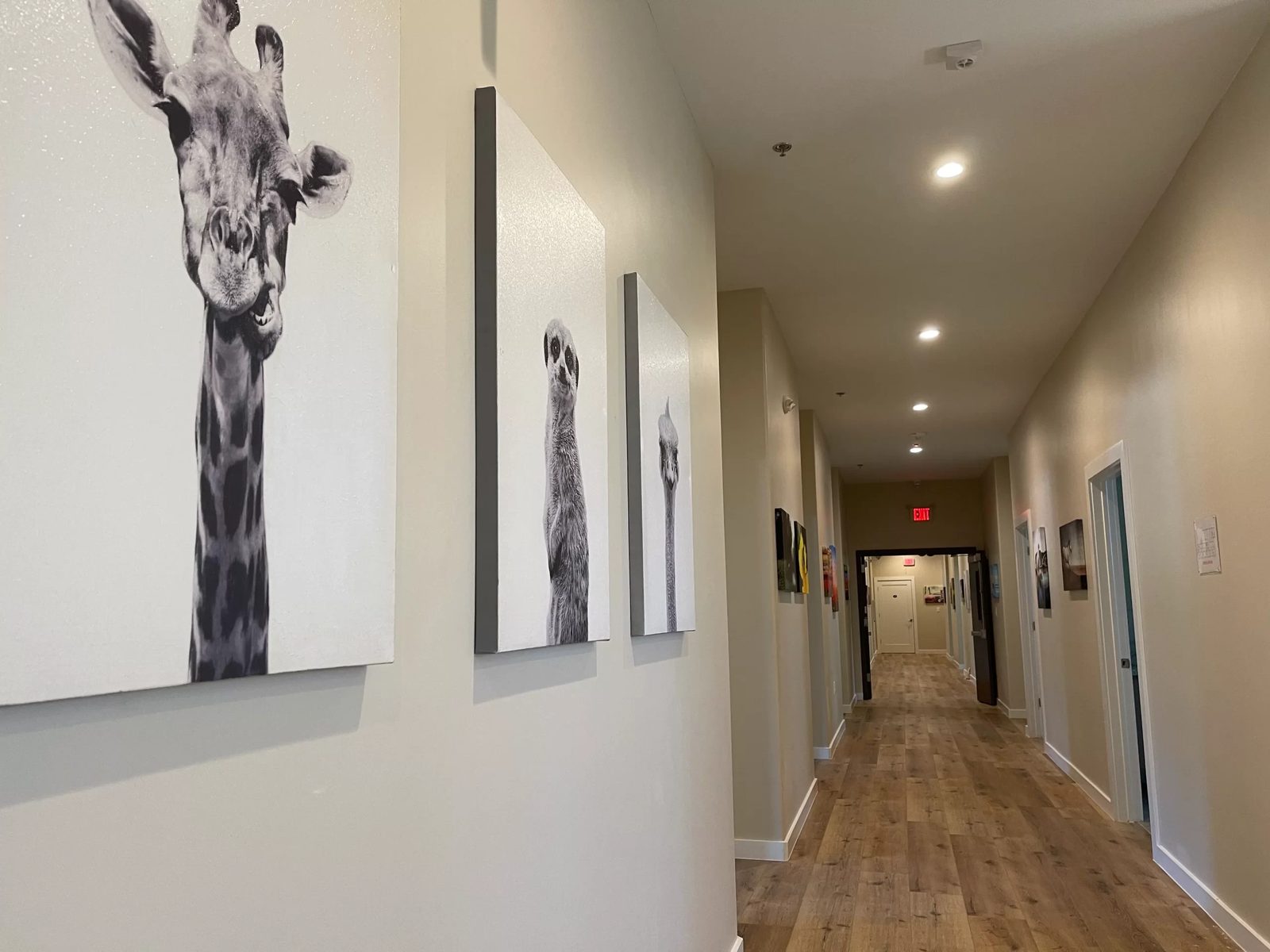 Woodlands Memory Care photo 2