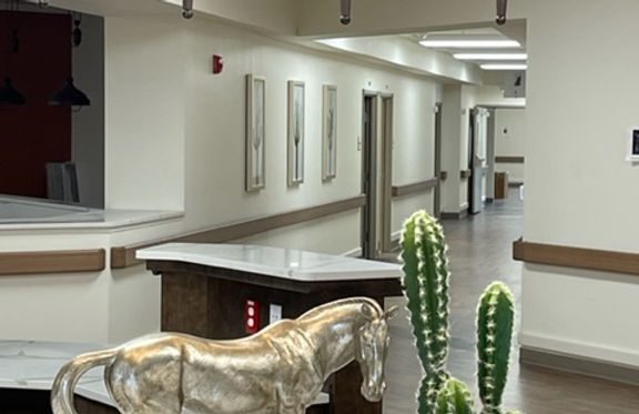 The Lodge of Saginaw Health and Wellness