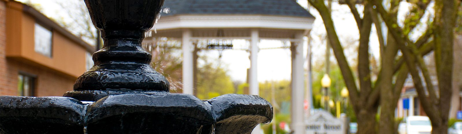 Cranberry Park of Milford