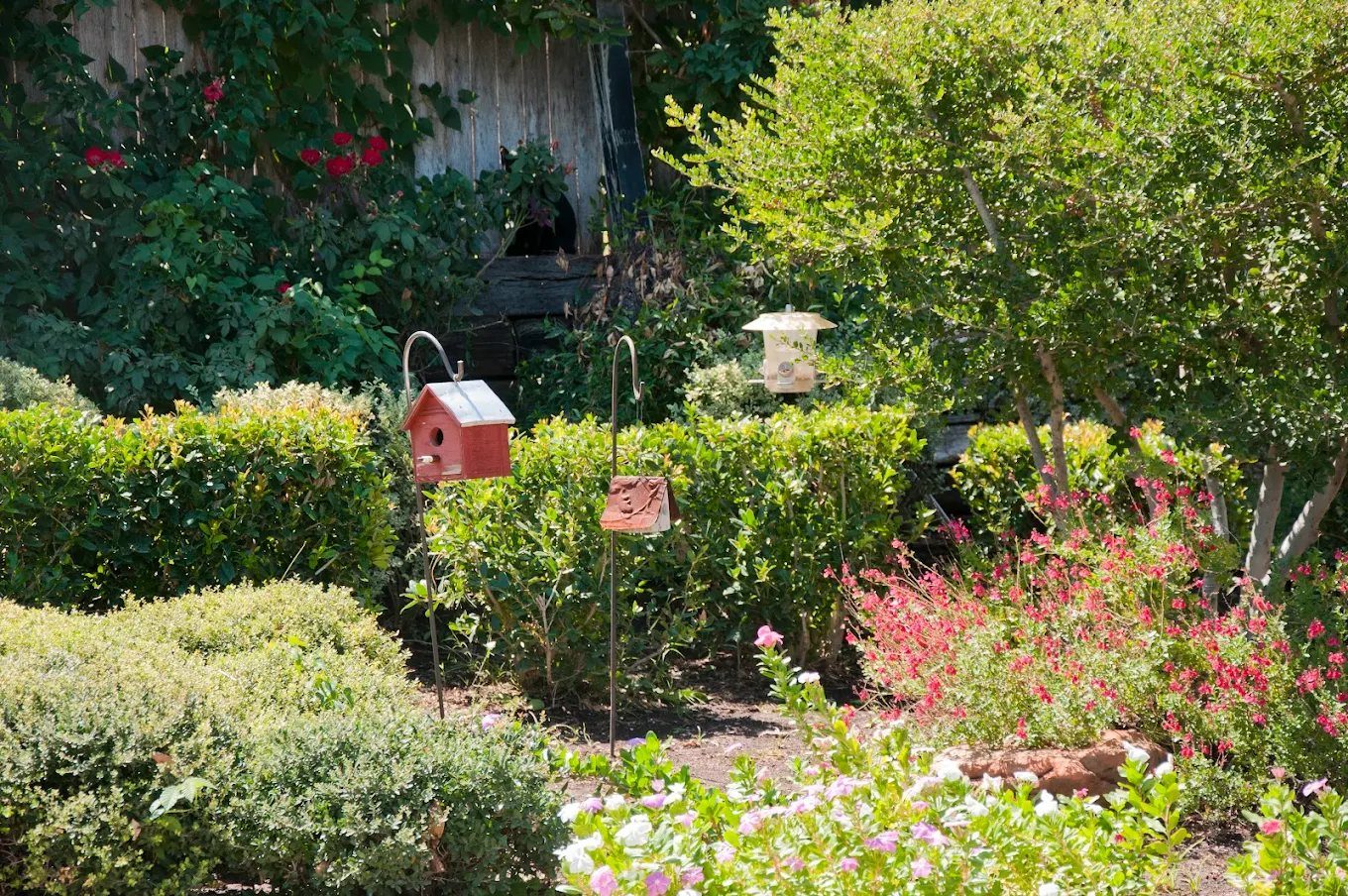 Autumn Hill Manor photo 5