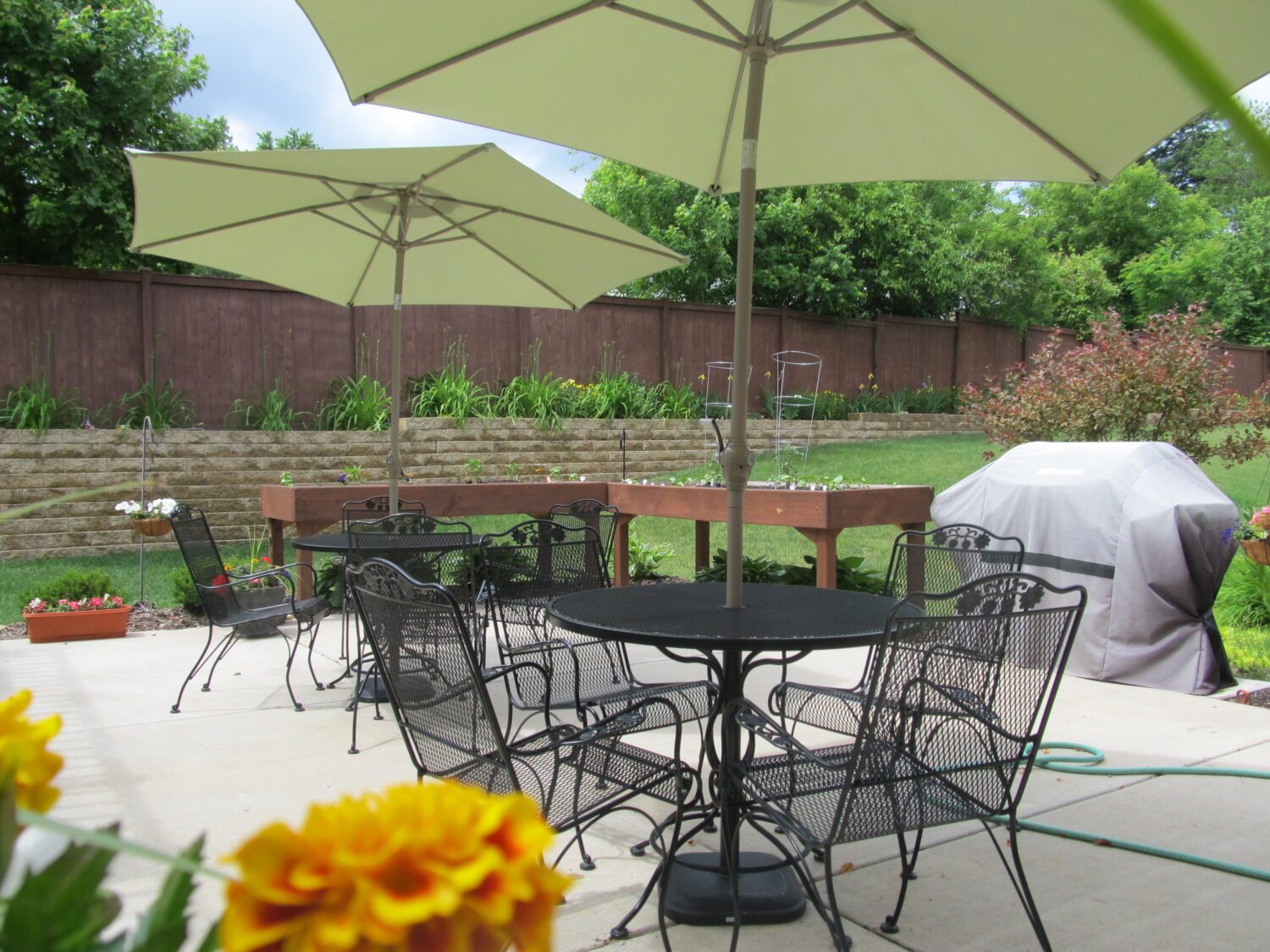 Living Springs of Mchenry photo 3