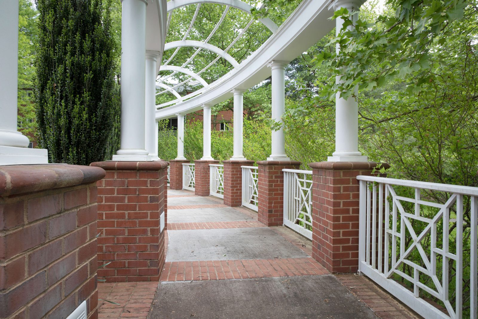 The Colonnades photo 2