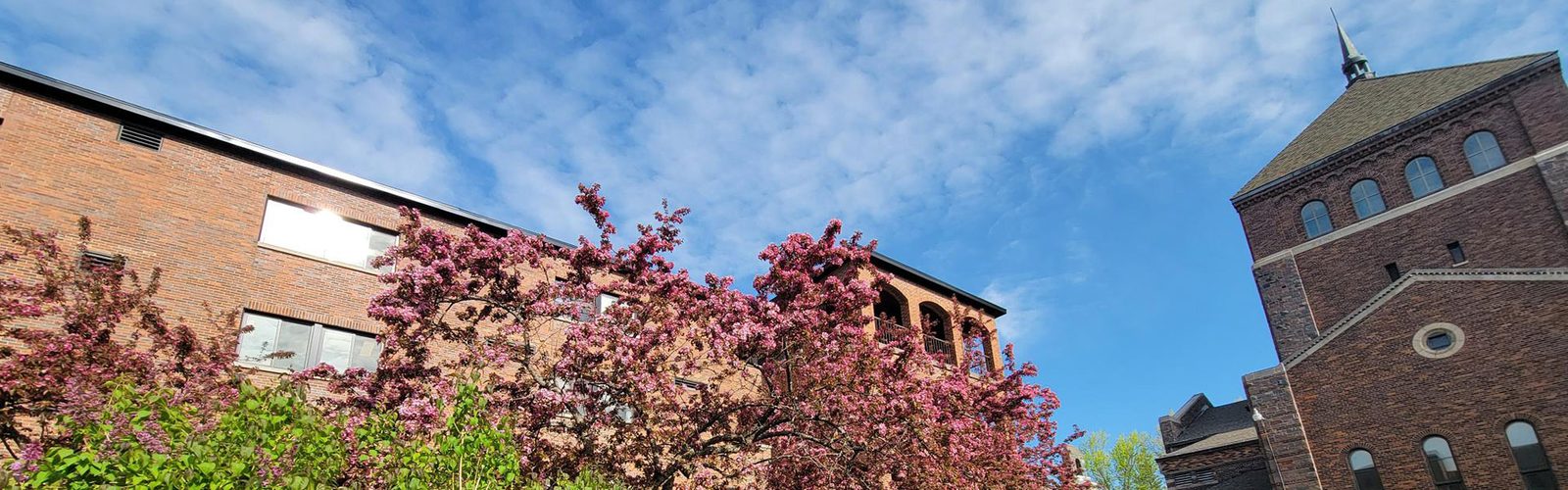 Benedictine Sisters Benevolent Association