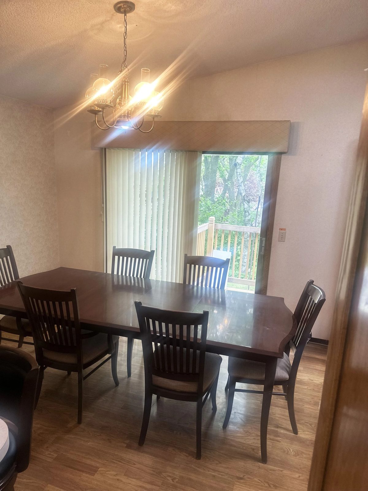 Turning a New Leaf Home Care photo 1