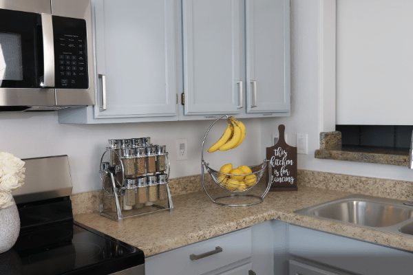 New Visions Assisted Living LLC photo 5