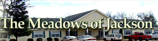 Meadows at Jacksonville