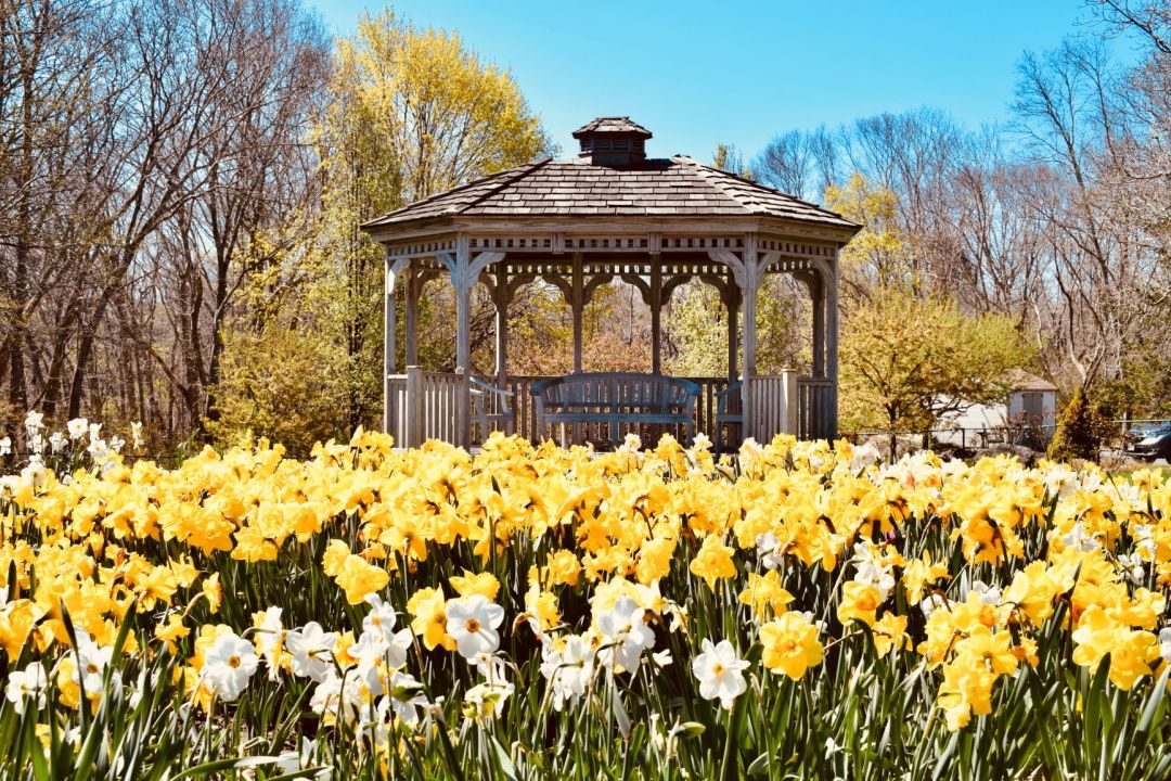 Newfield House, INC