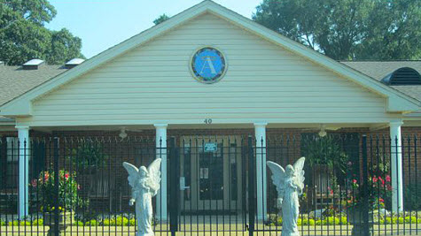 Angels for Elderly