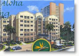 Plaza at Punchbowl