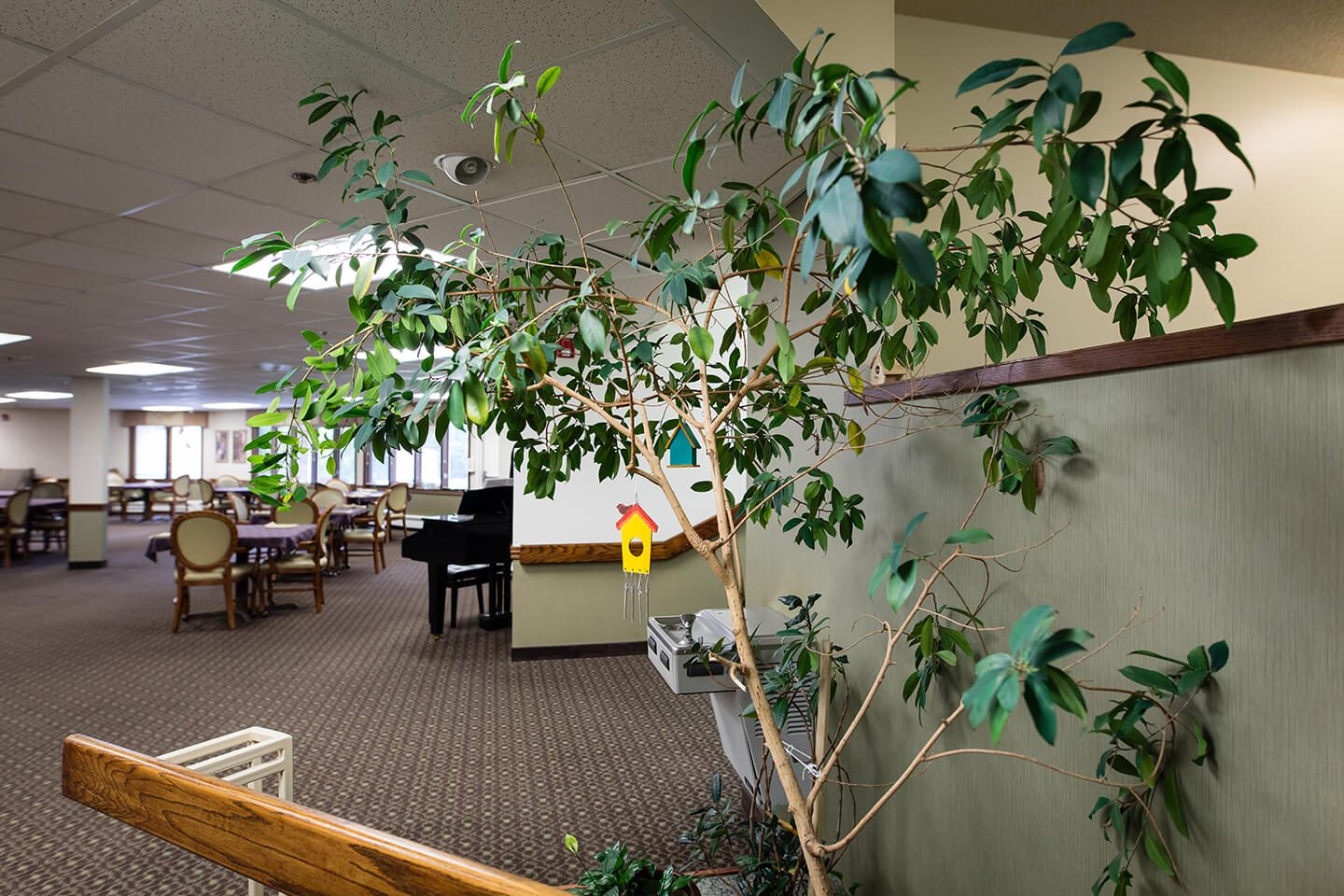 Stoneybrook Assisted Living Operations, LLC photo 3
