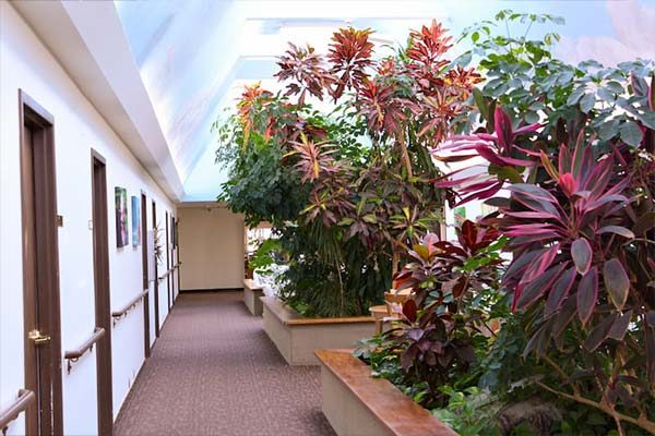 Apple Tree Assisted Living photo 10