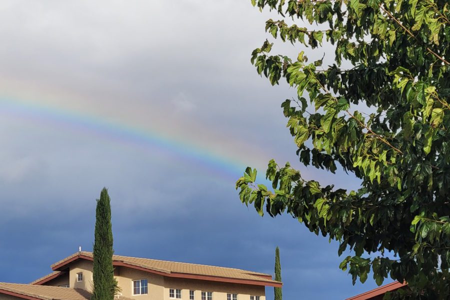 Rainbow Acres photo 3