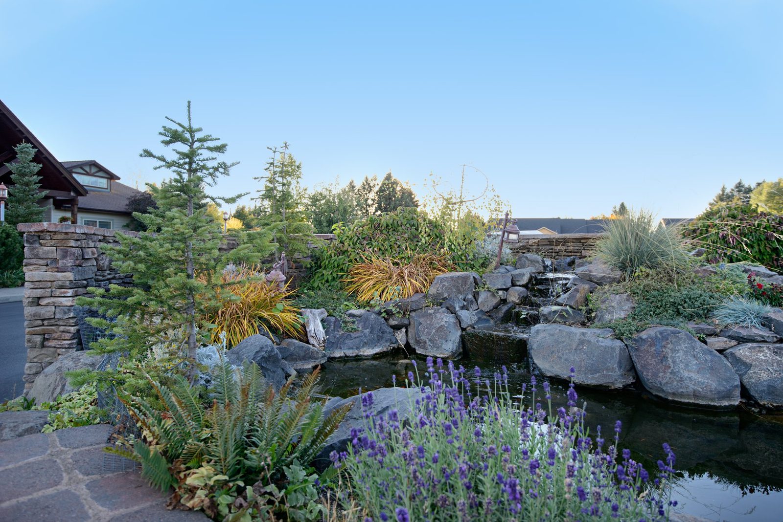 Wellspring Meadows, INC photo 2