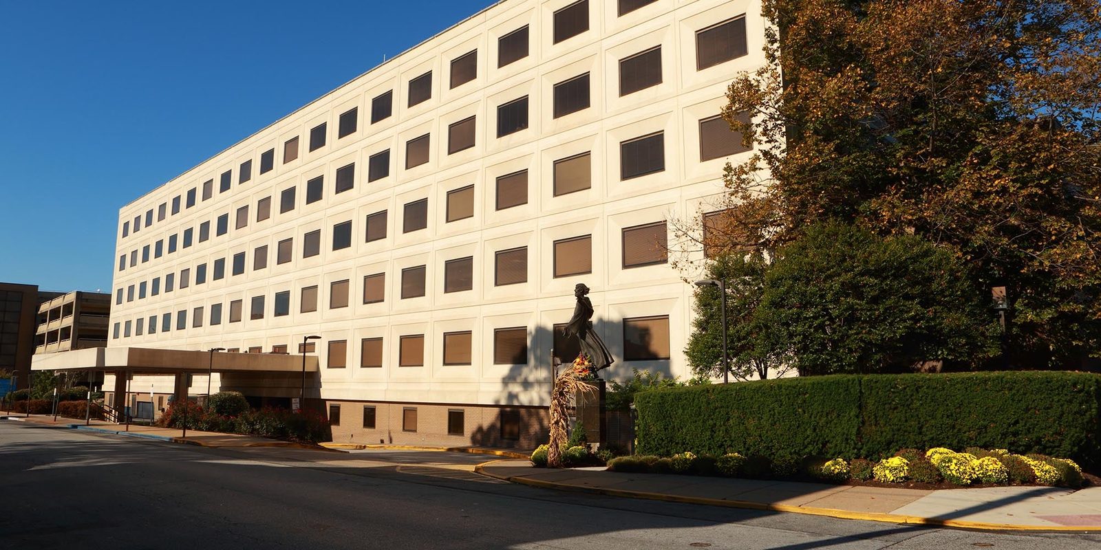St. Francis Healthcare, INC photo 1