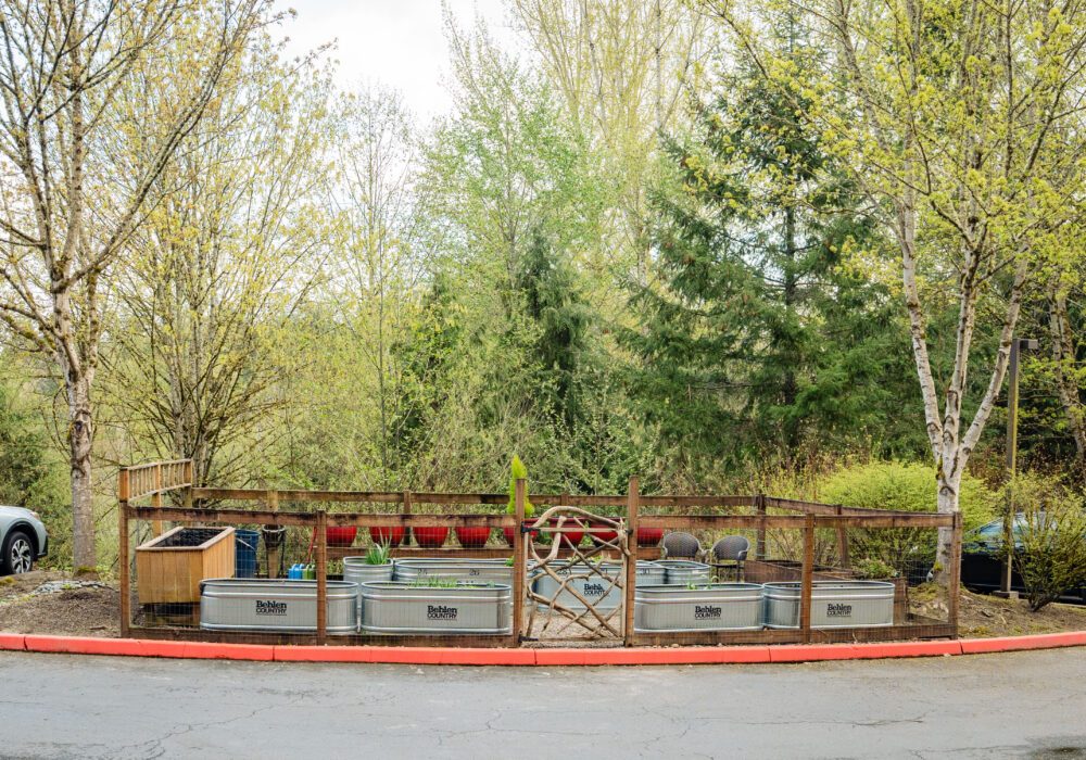 Woodland Terrace photo 2
