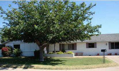 Desert Palm Adult Care