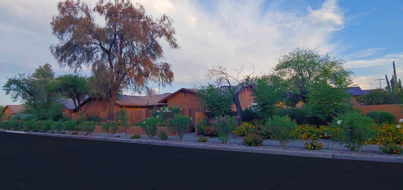 Pepper Tree Adult Care Home photo 3