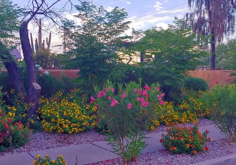 Pepper Tree Adult Care Home photo 5