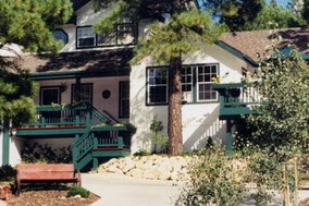 The Pines