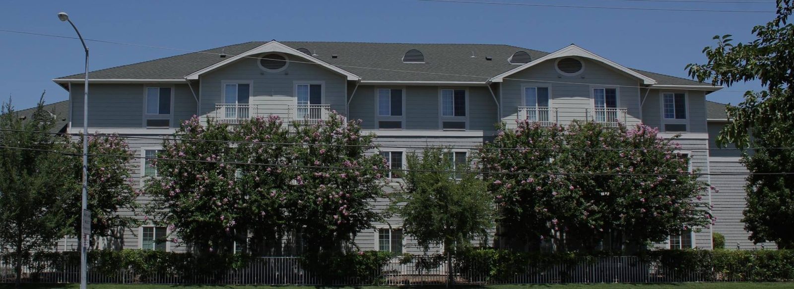 L.C. Hotchkiss Terrace photo 2