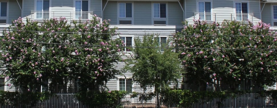 L.C. Hotchkiss Terrace photo 3