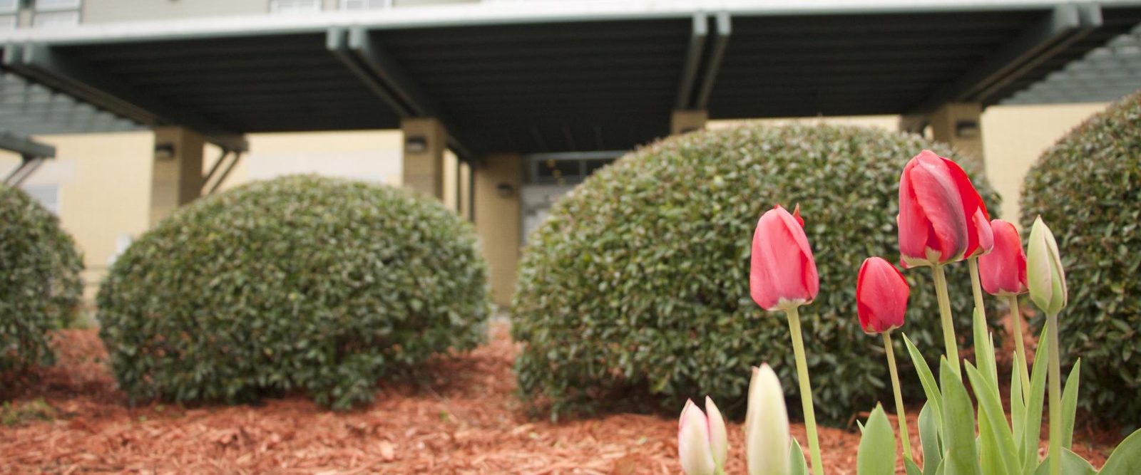 Ozark Health Nursing Center