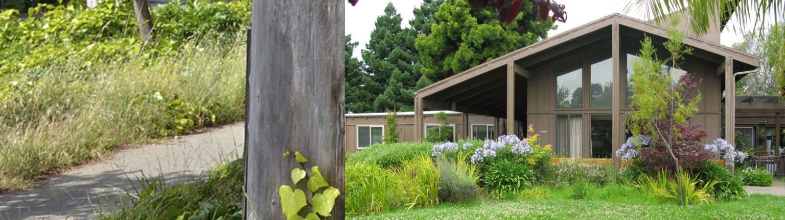 Chaparral House photo 1