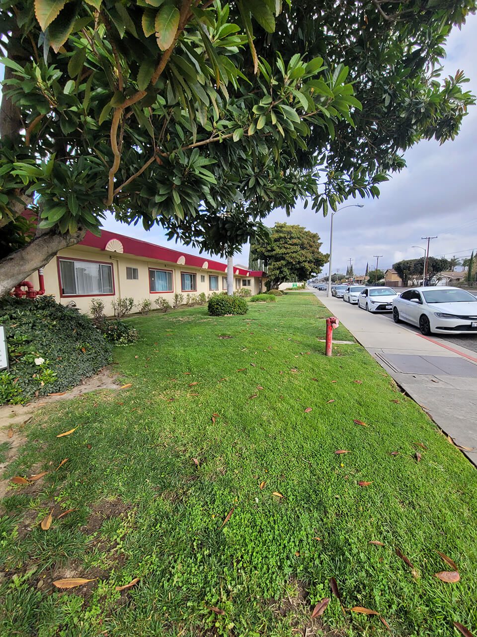 Chino Valley Health Care Cente photo 2