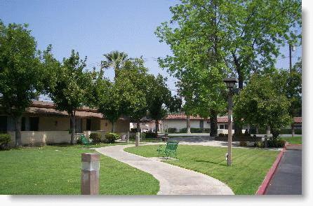 Community Care On Palm