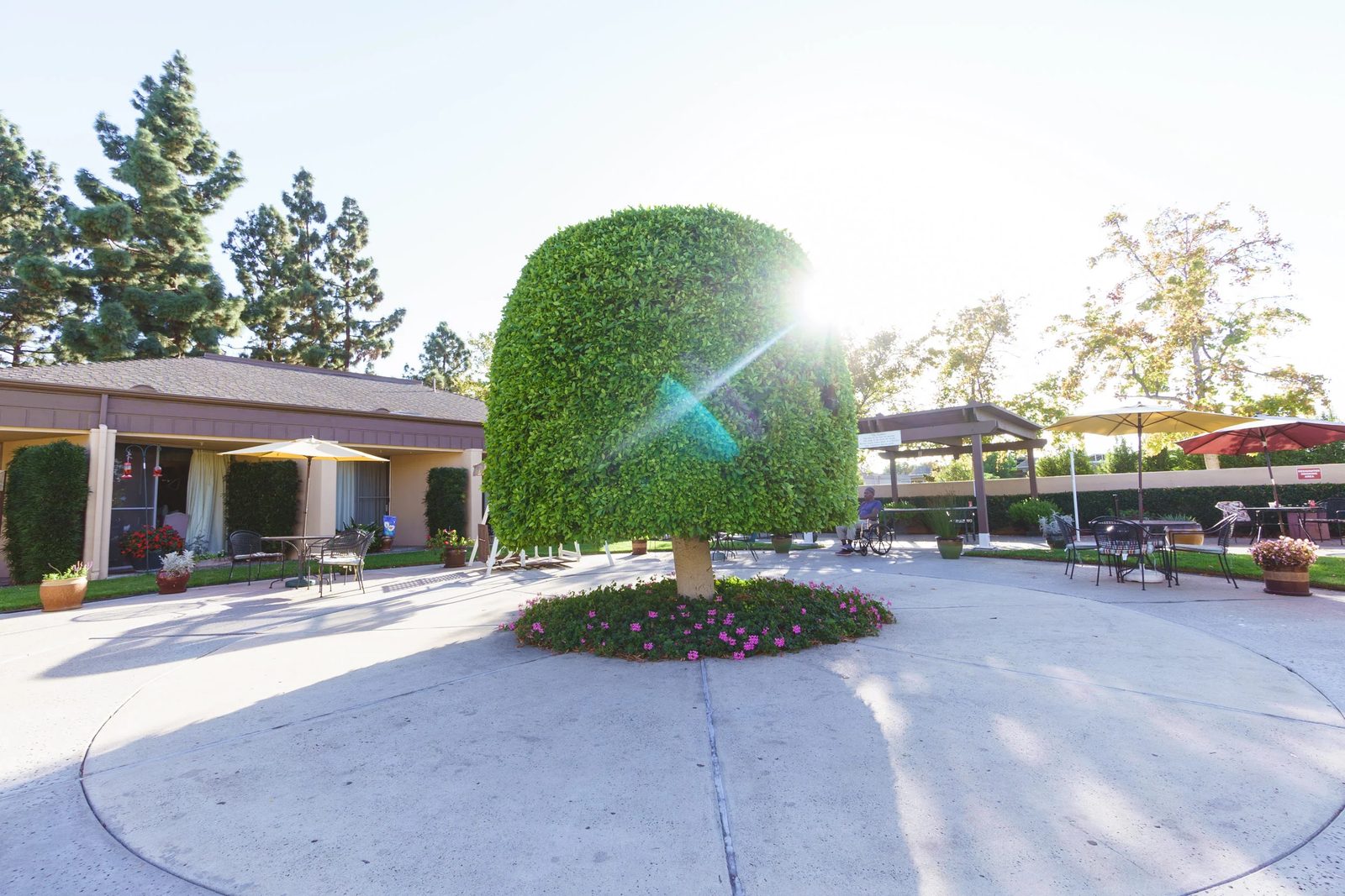 Country Villa La Mesa Healthcare Center