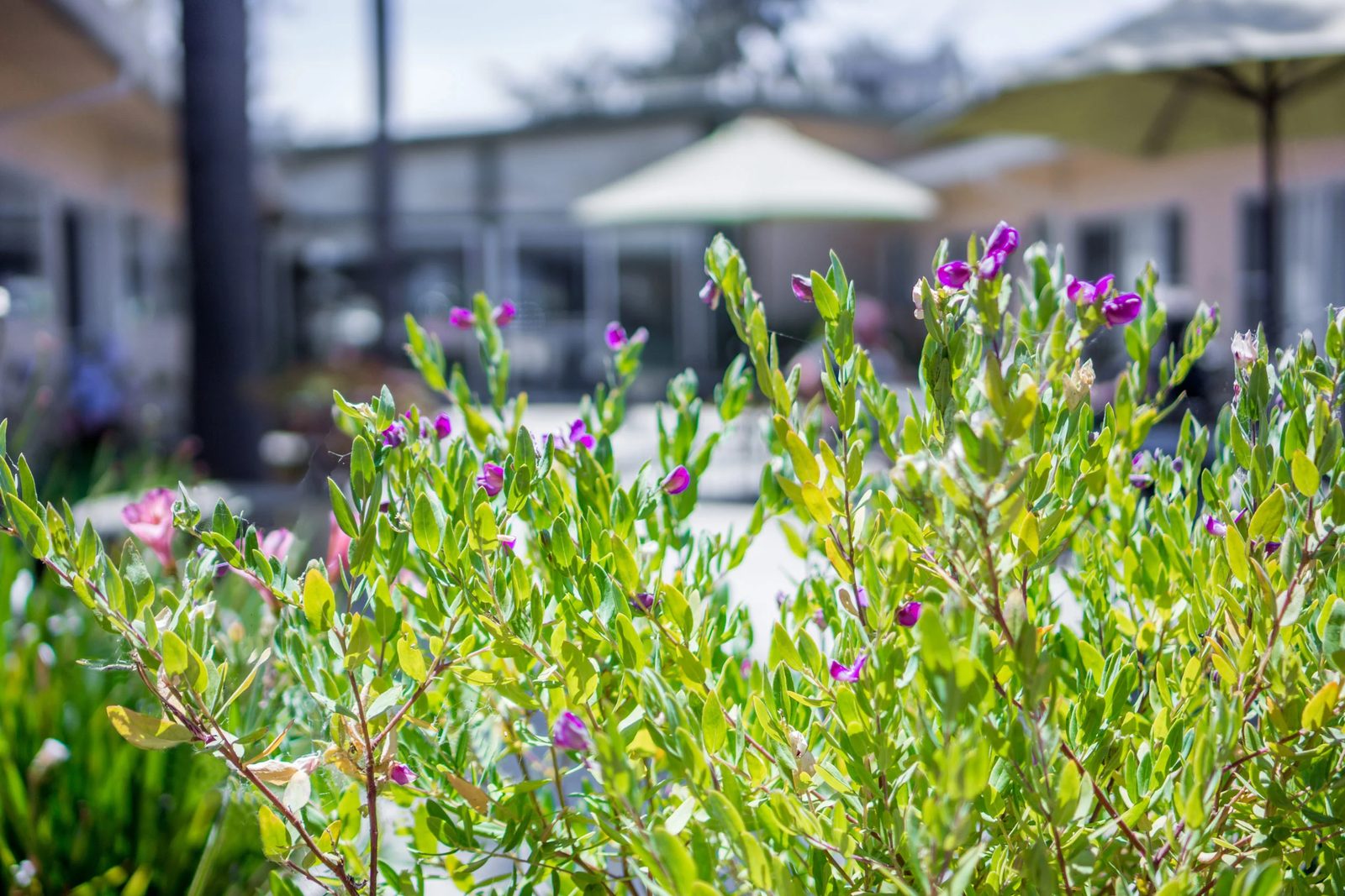 Watsonville Nursing Center photo 5