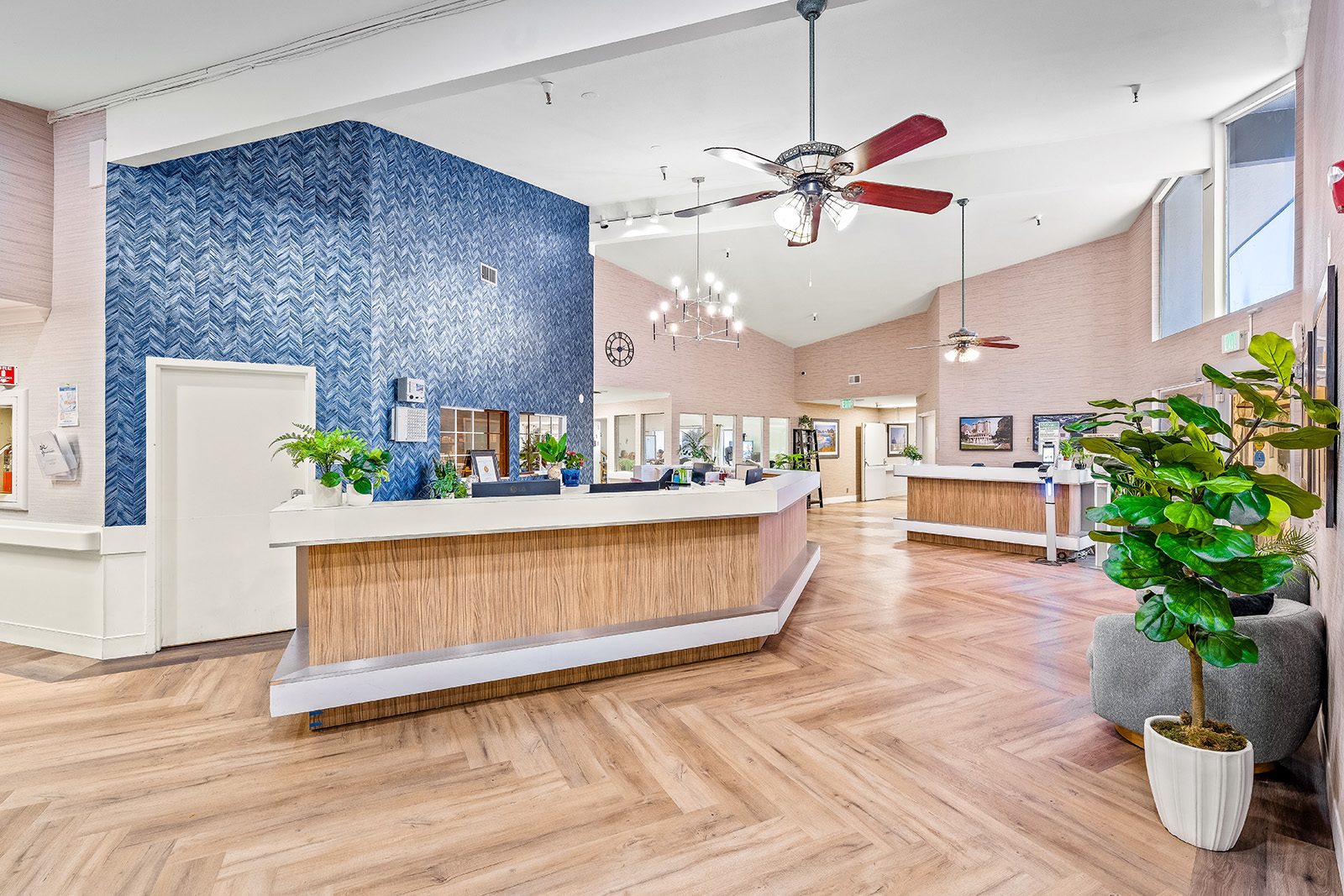 Hayward Healthcare & Wellness Center photo 2
