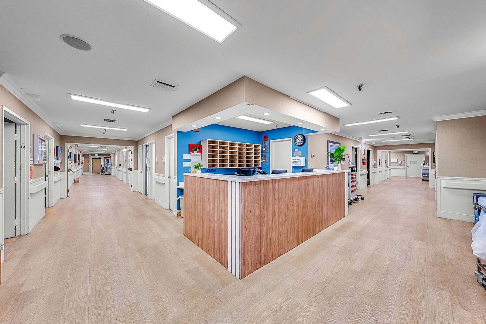 San Jose Healthcare & Wellness Center photo 3