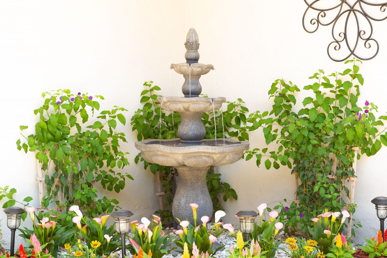 The Gardens of El Monte photo 3